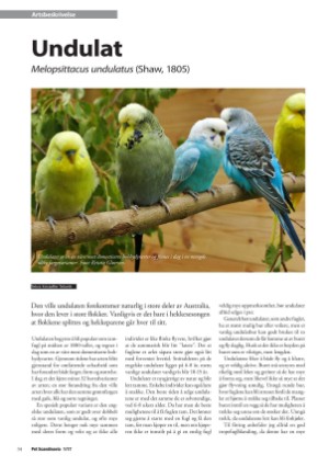 petscandinavia-20170315_001_00_00_034.pdf