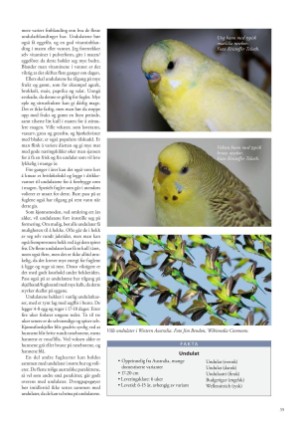 petscandinavia-20170315_001_00_00_035.pdf
