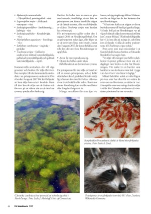 petscandinavia-20170315_001_00_00_044.pdf