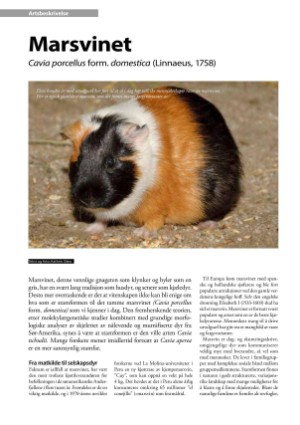 petscandinavia-20170615_002_00_00_024.pdf