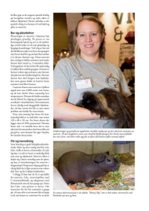 petscandinavia-20170615_002_00_00_025.pdf