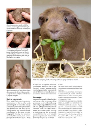 petscandinavia-20170615_002_00_00_027.pdf