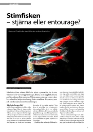 petscandinavia-20170615_002_00_00_037.pdf