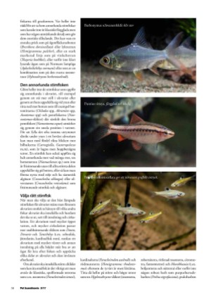 petscandinavia-20170615_002_00_00_038.pdf