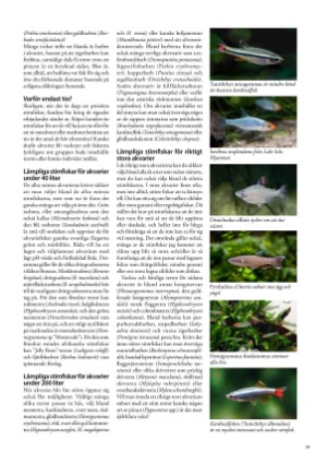 petscandinavia-20170615_002_00_00_039.pdf