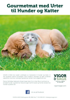 petscandinavia-20170615_002_00_00_047.pdf