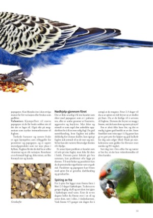 petscandinavia-20170915_003_00_00_033.pdf