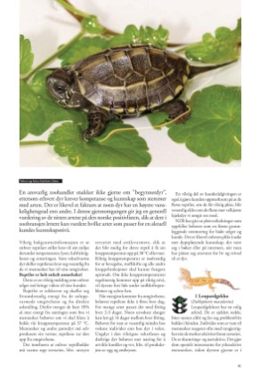 petscandinavia-20170915_003_00_00_041.pdf