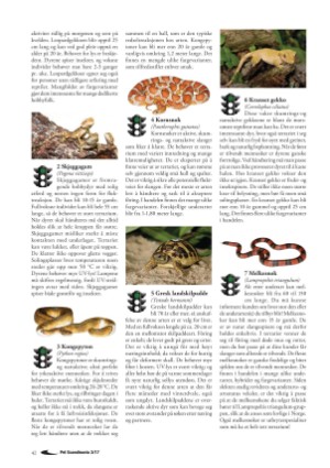 petscandinavia-20170915_003_00_00_042.pdf