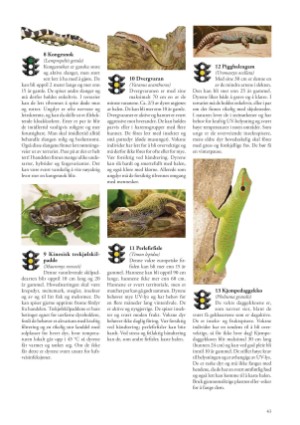 petscandinavia-20170915_003_00_00_043.pdf