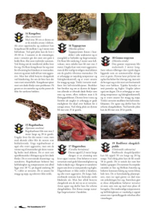 petscandinavia-20170915_003_00_00_044.pdf