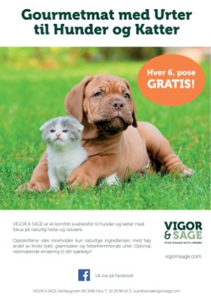 petscandinavia-20170915_003_00_00_047.pdf