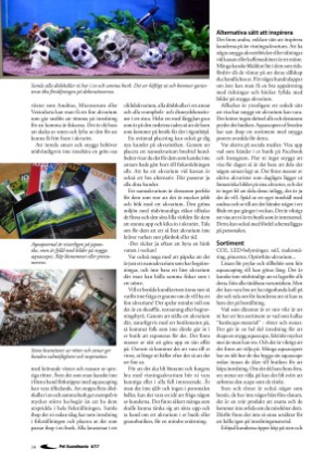 petscandinavia-20171215_004_00_00_014.pdf