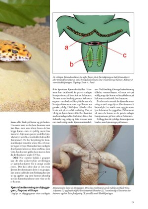 petscandinavia-20171215_004_00_00_023.pdf