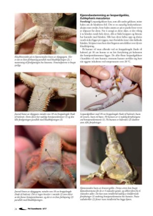 petscandinavia-20171215_004_00_00_024.pdf