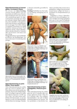 petscandinavia-20171215_004_00_00_025.pdf