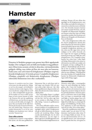 petscandinavia-20171215_004_00_00_044.pdf