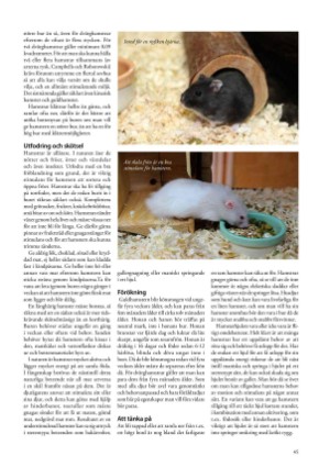 petscandinavia-20171215_004_00_00_045.pdf