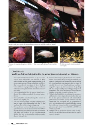 petscandinavia-20180315_001_00_00_008.pdf