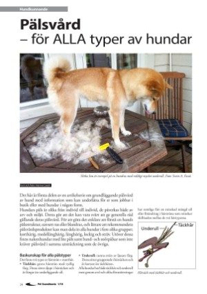 petscandinavia-20180315_001_00_00_024.pdf