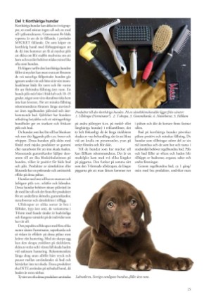 petscandinavia-20180315_001_00_00_025.pdf