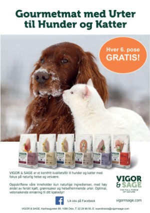 petscandinavia-20180315_001_00_00_035.pdf