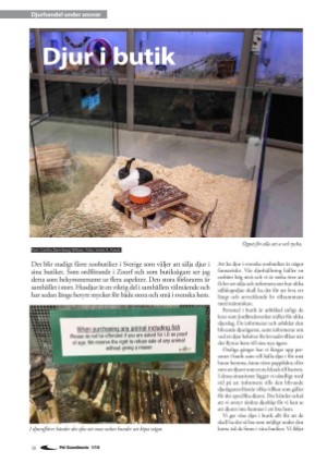 petscandinavia-20180315_001_00_00_038.pdf