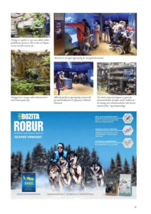 petscandinavia-20180315_001_00_00_041.pdf