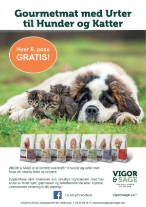 petscandinavia-20180615_002_00_00_002.pdf