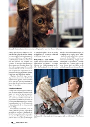 petscandinavia-20180615_002_00_00_006.pdf