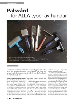 petscandinavia-20180615_002_00_00_026.pdf