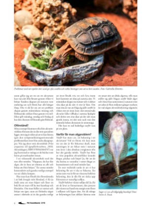 petscandinavia-20180915_003_00_00_006.pdf