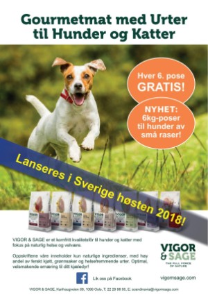 petscandinavia-20180915_003_00_00_011.pdf