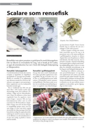 petscandinavia-20180915_003_00_00_033.pdf