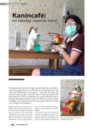 petscandinavia-20180915_003_00_00_038.pdf
