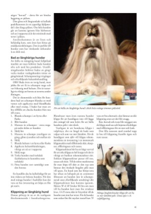 petscandinavia-20180915_003_00_00_041.pdf