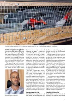 petscandinavia-20181215_004_00_00_005.pdf