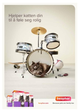 petscandinavia-20181215_004_00_00_011.pdf