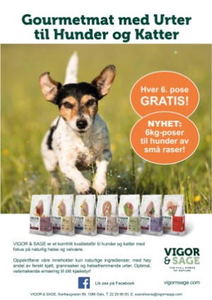 petscandinavia-20181215_004_00_00_017.pdf
