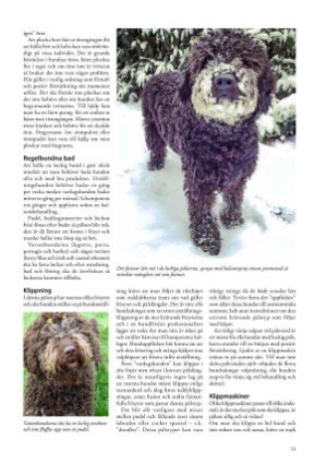 petscandinavia-20181215_004_00_00_033.pdf