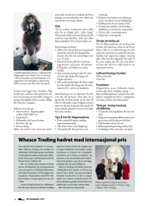 petscandinavia-20181215_004_00_00_034.pdf
