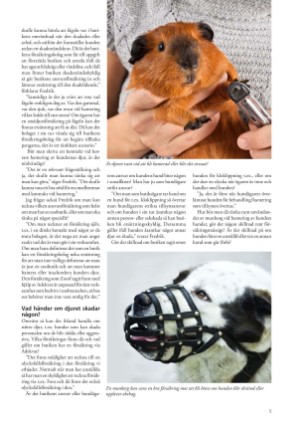 petscandinavia-20190315_001_00_00_005.pdf