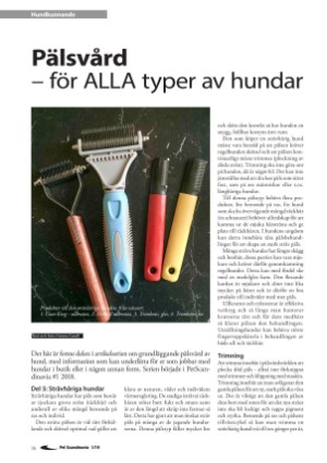 petscandinavia-20190315_001_00_00_016.pdf