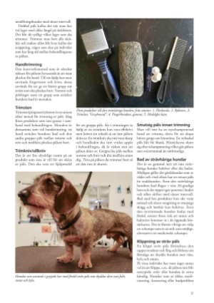 petscandinavia-20190315_001_00_00_017.pdf