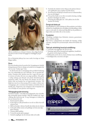 petscandinavia-20190315_001_00_00_018.pdf