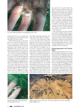 petscandinavia-20190315_001_00_00_028.pdf