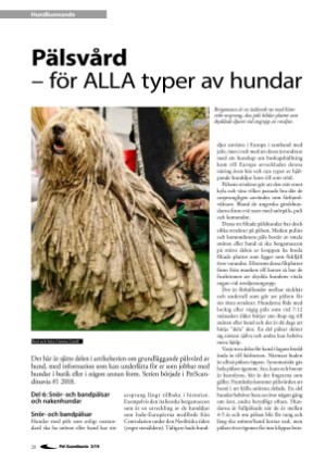 petscandinavia-20190615_002_00_00_028.pdf