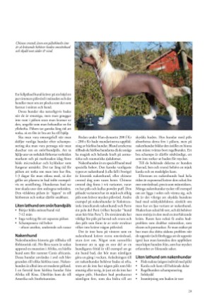 petscandinavia-20190615_002_00_00_029.pdf
