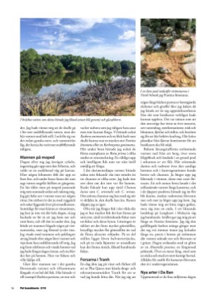 petscandinavia-20190615_002_00_00_036.pdf
