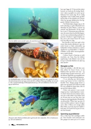 petscandinavia-20190615_002_00_00_044.pdf